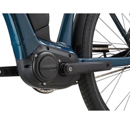 GIANT EXPRESSION E+ 1