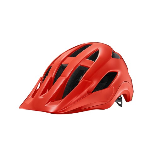 GIANT CASCO ROOST MIPS